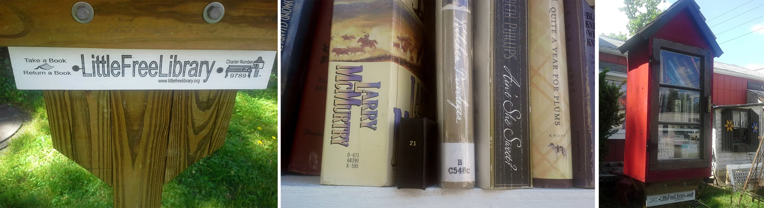#21 Free Library, NE