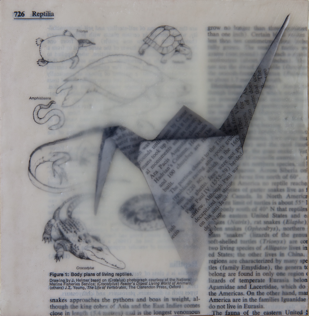 Encaustic medium, japanese paper, encyclopedia page on board 6"x6"