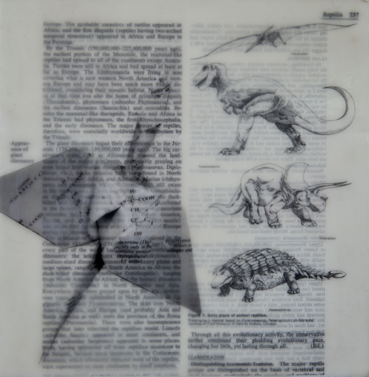 Encaustic medium, japanese paper, encyclopedia page on board 6"x6"