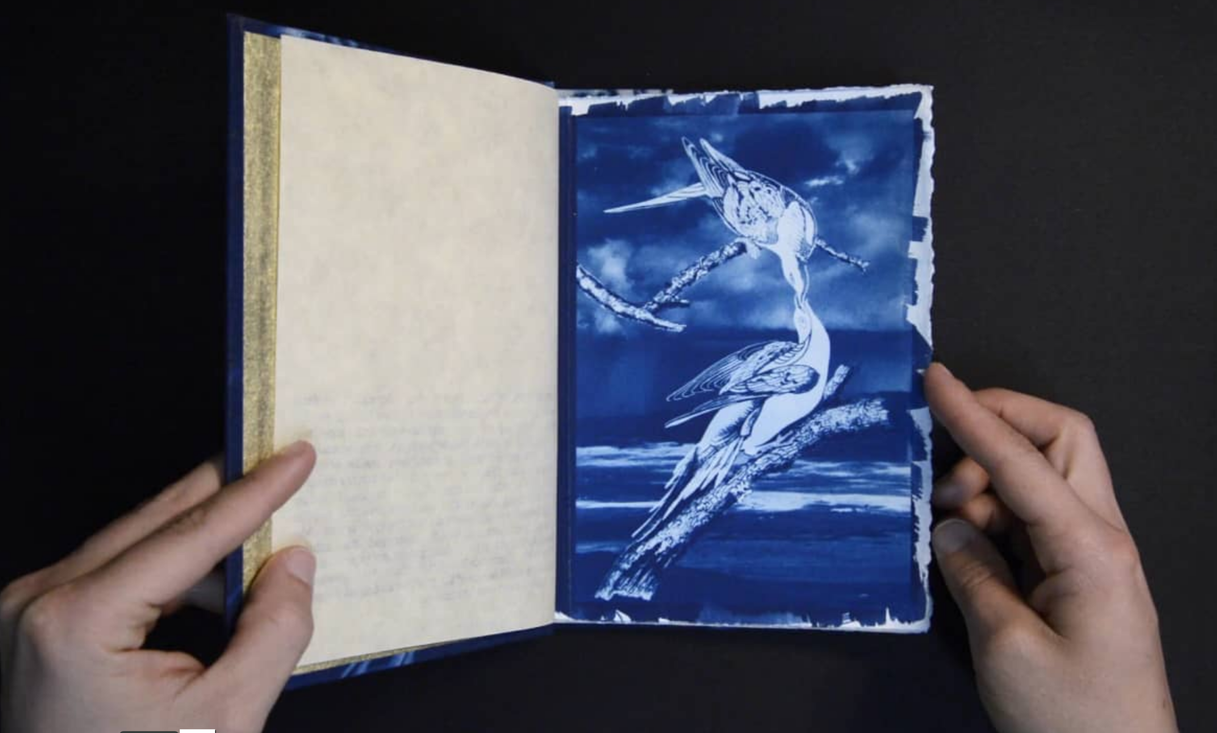 Screen Shot 2019-02-09 at 12.03.43 AM.png