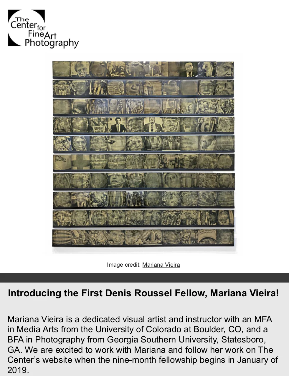 Denis Roussel Fellowship