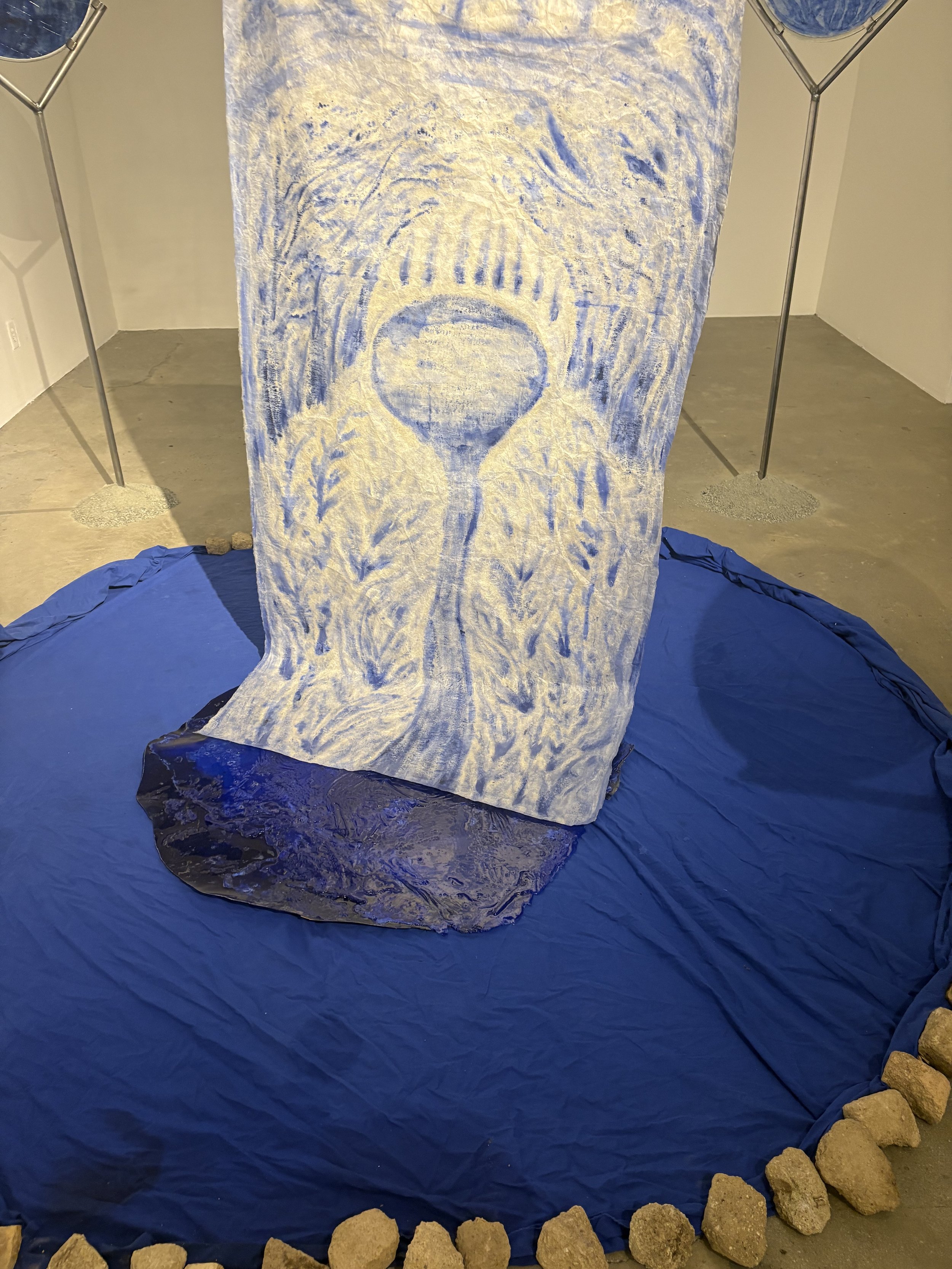 IMG_6879.jpeg