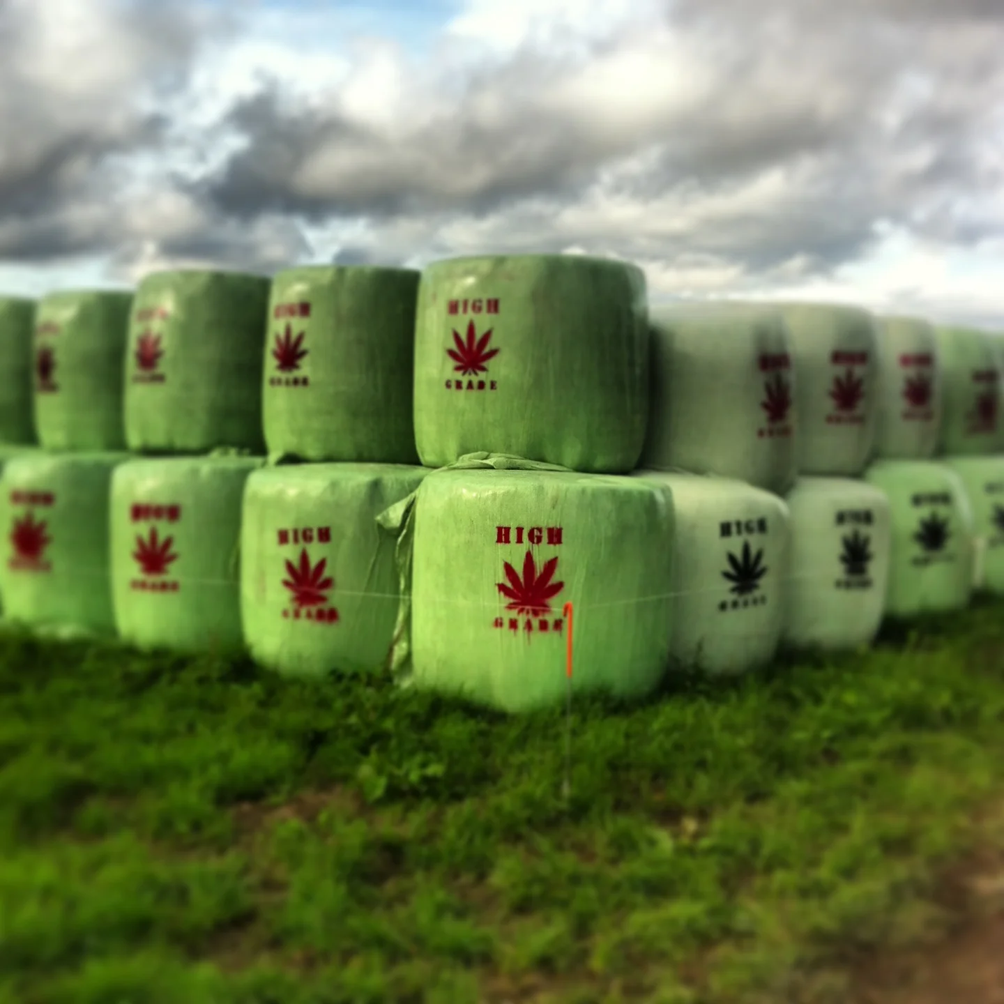 urban art in a rural environment