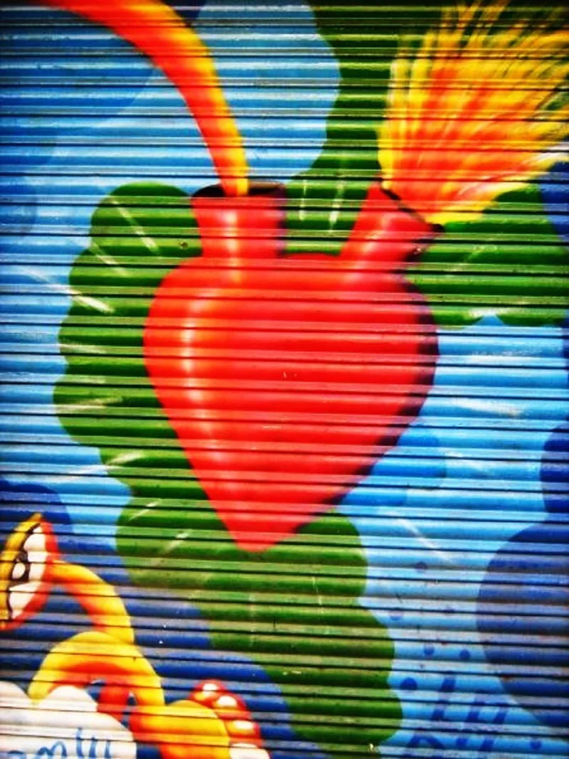 Film Shutters by Stéphanie Martin Petit