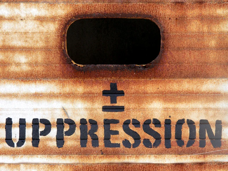 to protest and to subvert ±