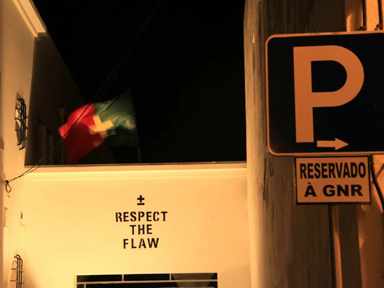 to protest and to subvert ±