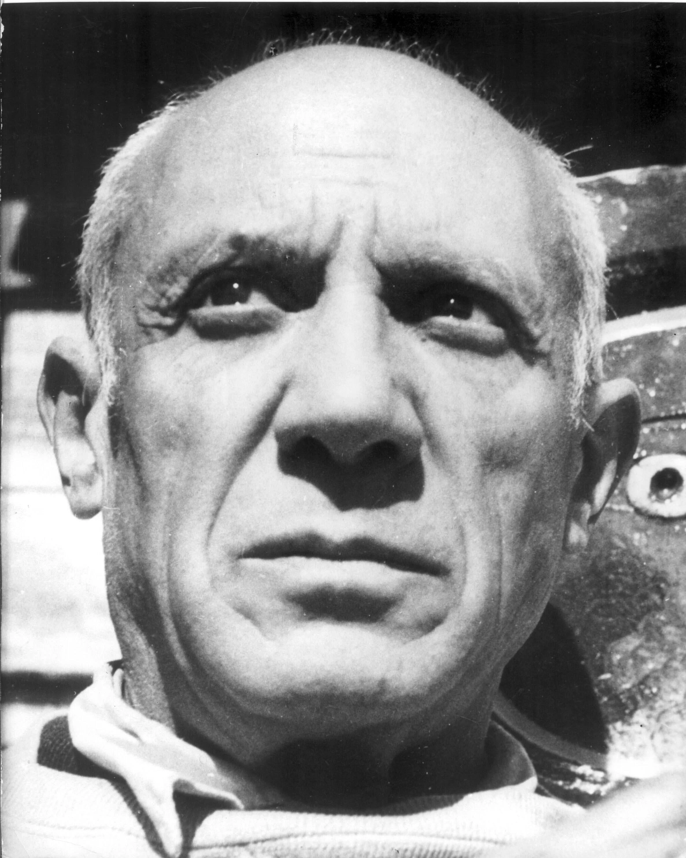 Pablo Picasso > subject study