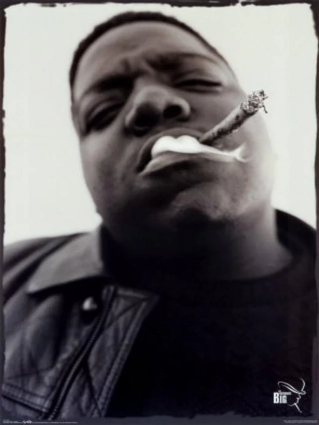 B.I.G. project on...