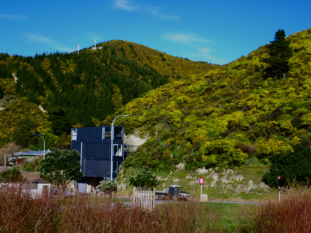 Container House - Owhiro Bay