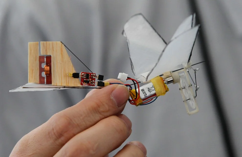 The Singularity <<< the foreground to a new project