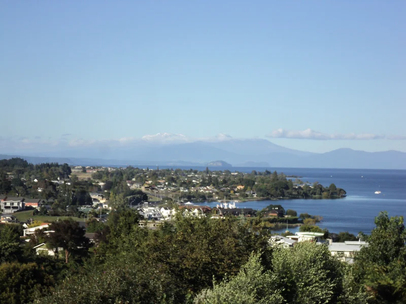 7th March project by ARTIVIST = wdydwyd?