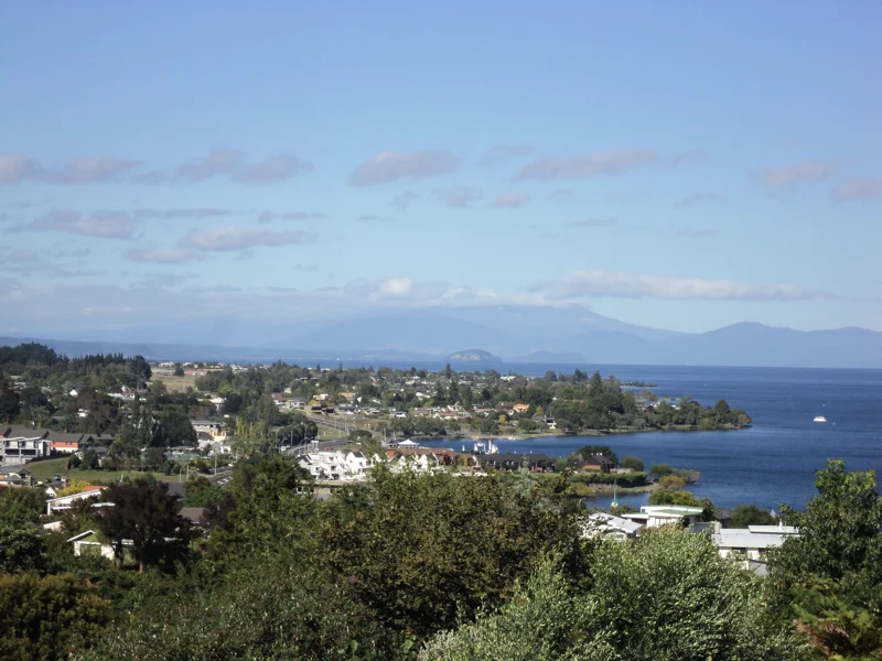 7th March project by ARTIVIST = wdydwyd?