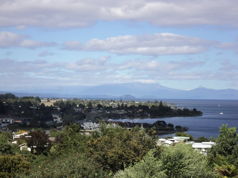 7th March project by ARTIVIST = wdydwyd?