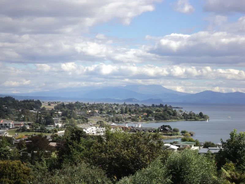 7th March project by ARTIVIST = wdydwyd?