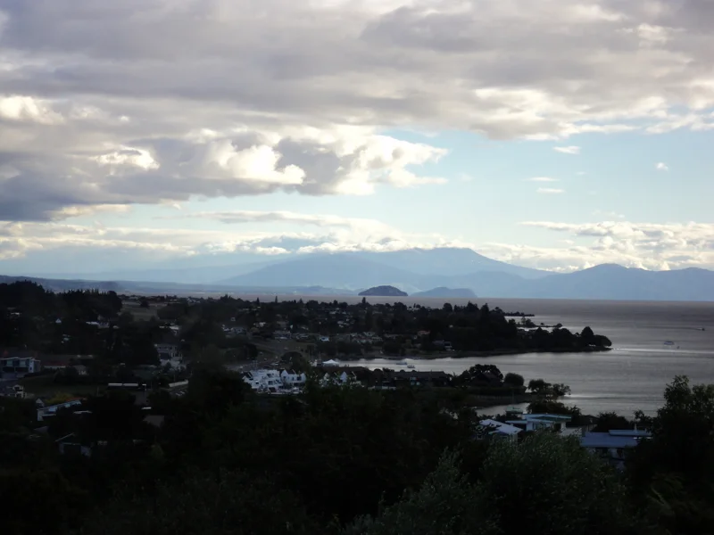 7th March project by ARTIVIST = wdydwyd?