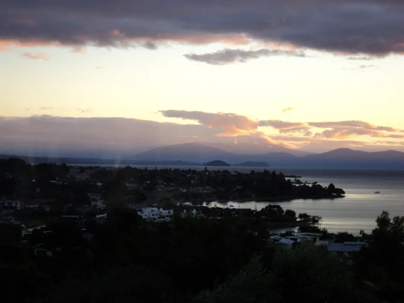 7th March project by ARTIVIST = wdydwyd?