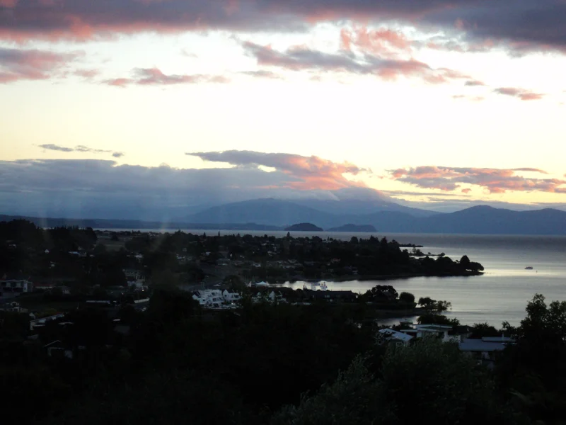 7th March project by ARTIVIST = wdydwyd?