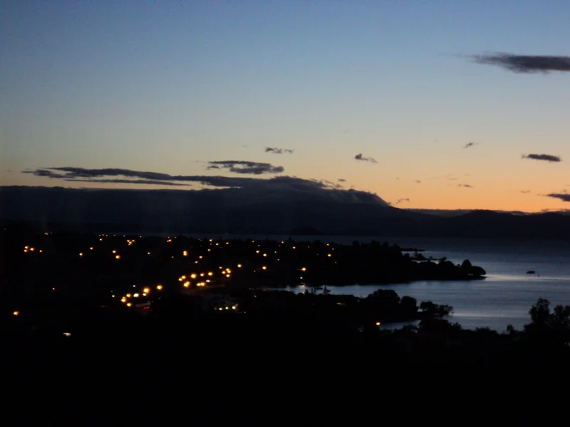 7th March project by ARTIVIST = wdydwyd?