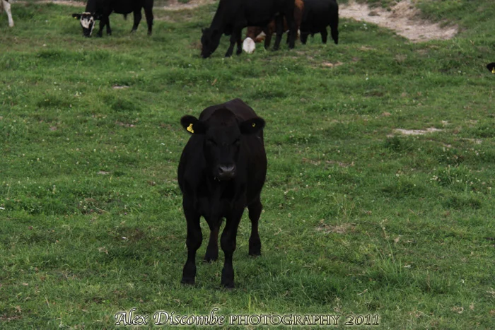 WAKEdUP = Alex Discombe Photography <<< shots of the day