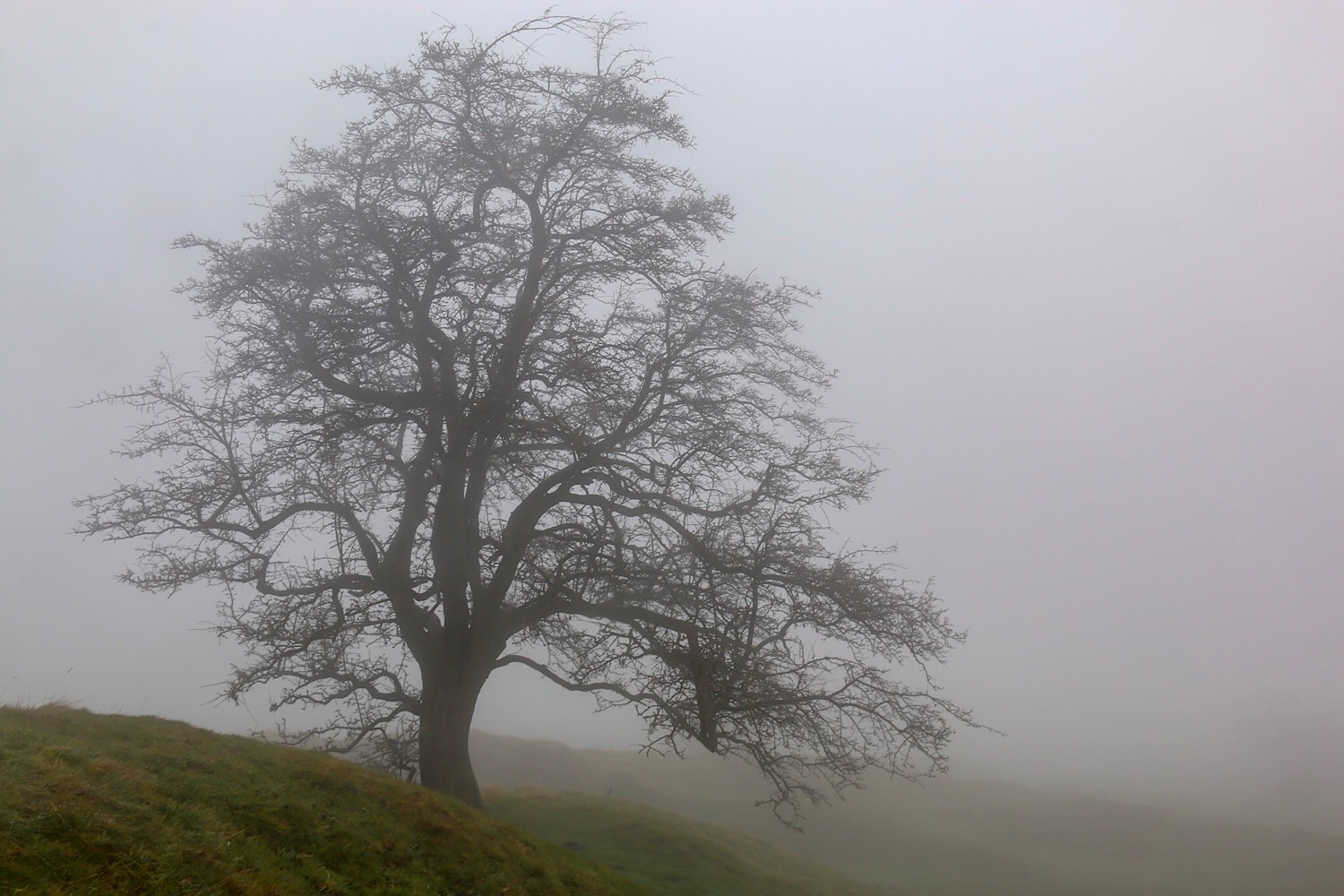 At the Top of Grin Low Wood