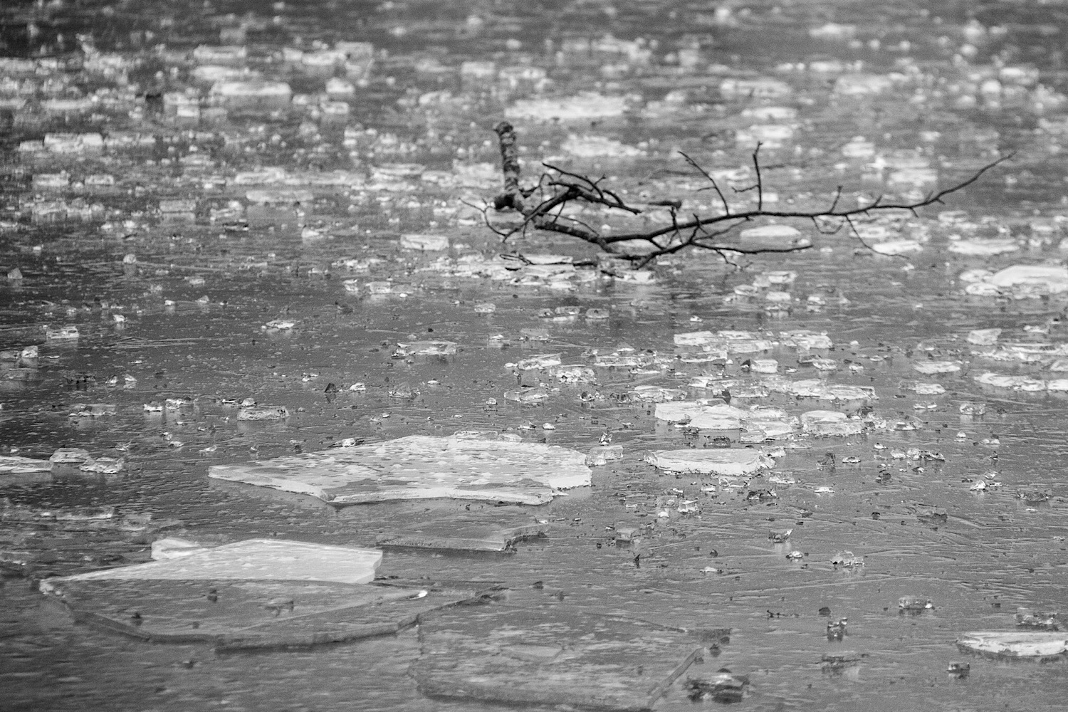 Ich finde einen zugefrorenen See