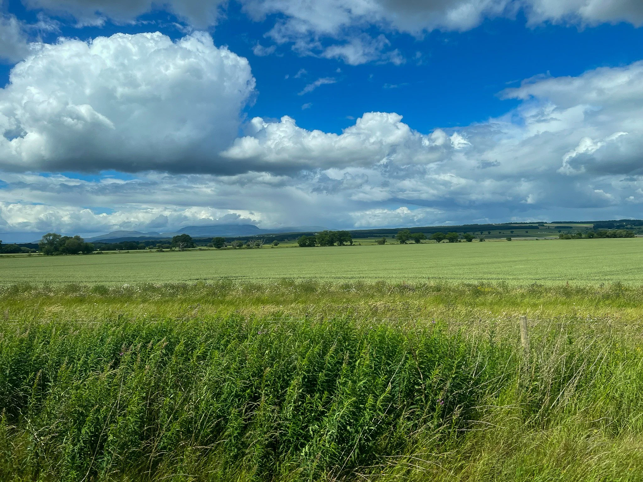 lightroom-10.jpeg