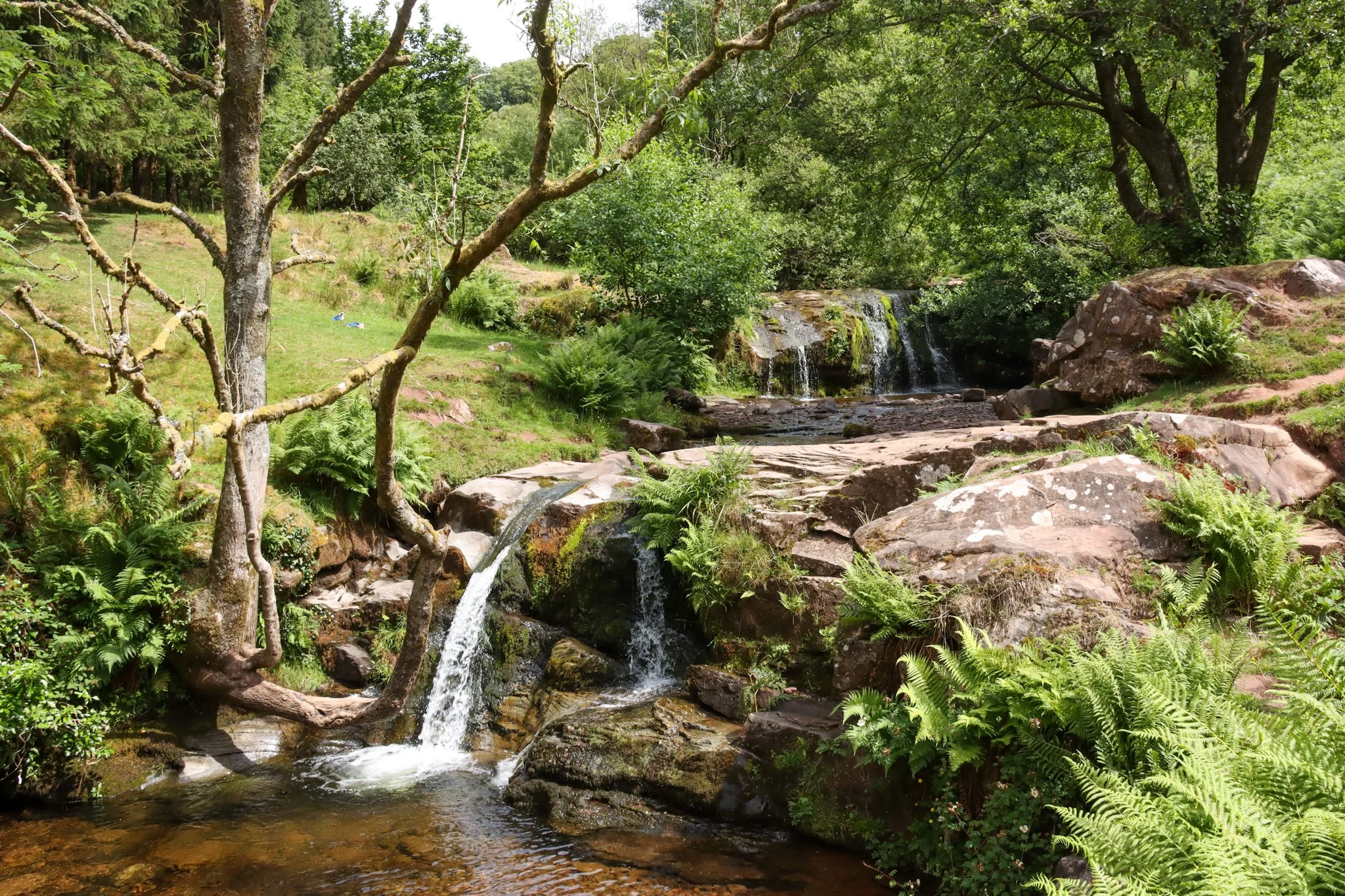 Talybont Forest and Waterfalls