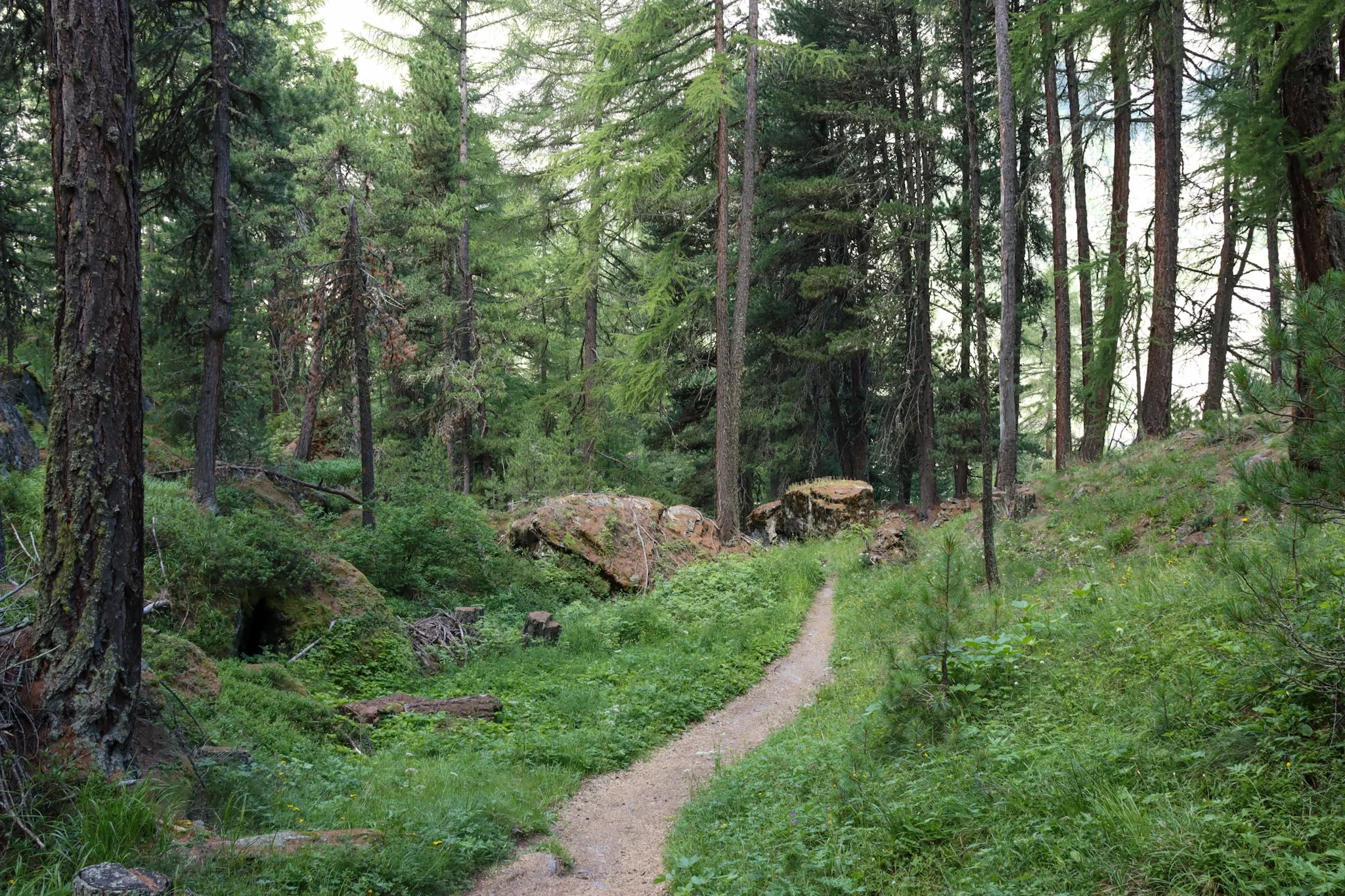 Sunnega and Gorner Gorge