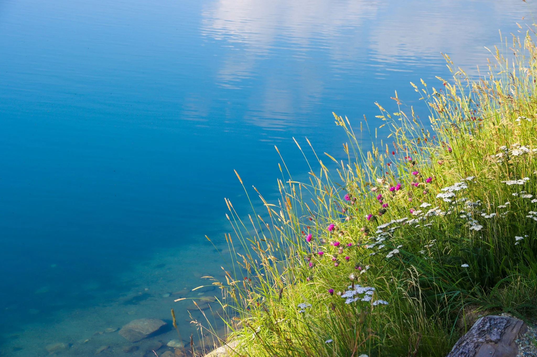 lake-04.jpeg