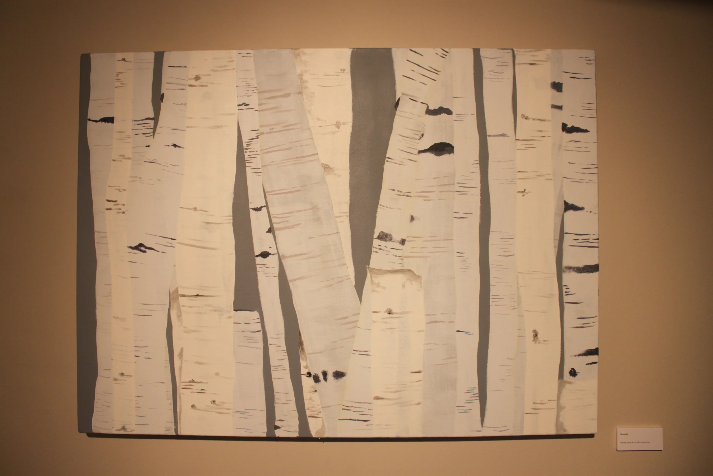Bemidji - House paint and Acrylic on canvas drop cloth