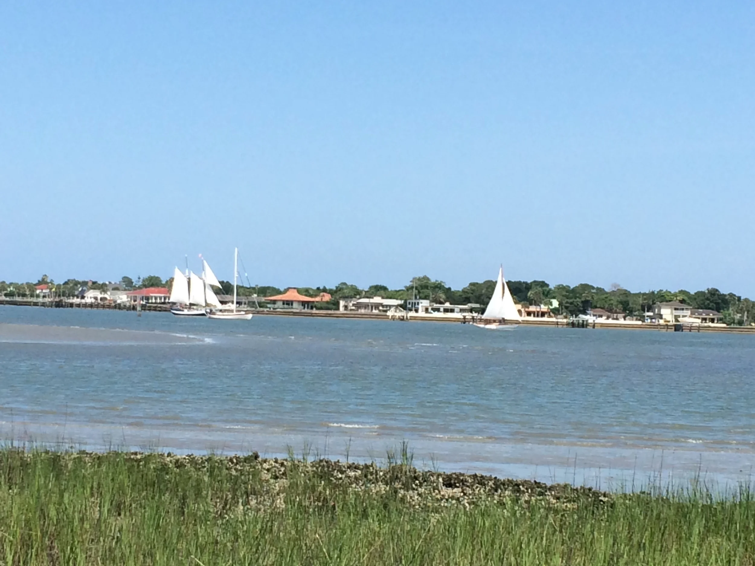 Watching the Schooner Freedom sail on Father's Day