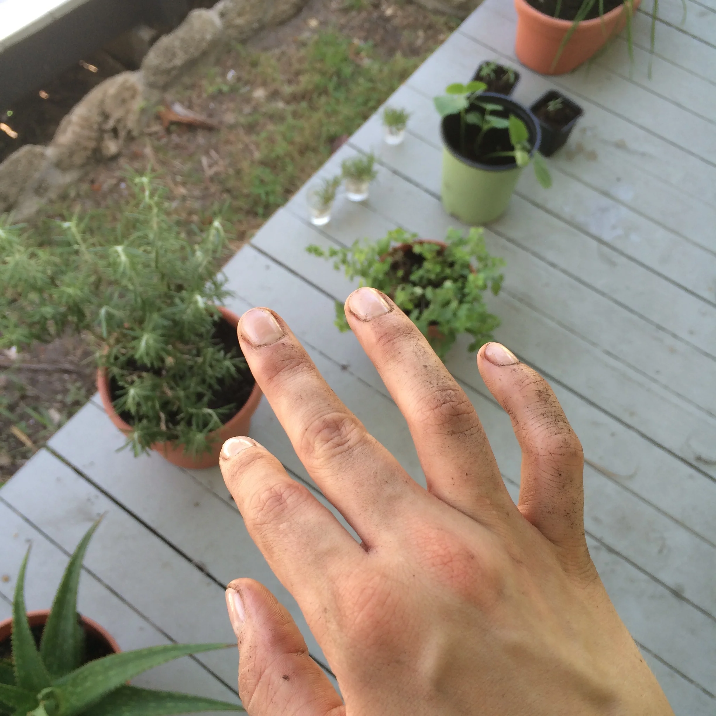 Gerden manicure!