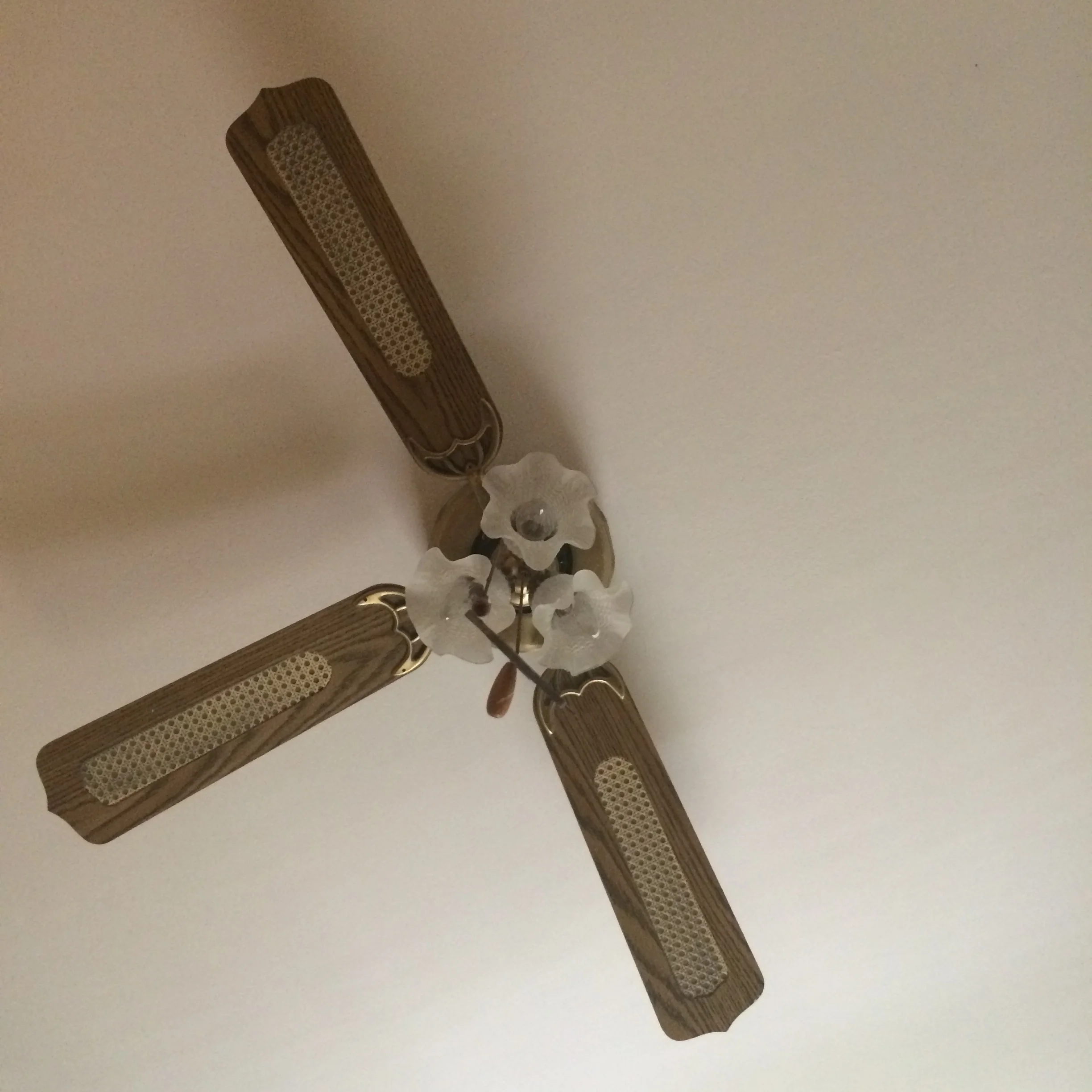 Our sad fan. Woke up to the sound of someone sharpening a machete. Turns out it was one of the blades break at the bracket and scratching against something. New one tomorrow... yippee!
