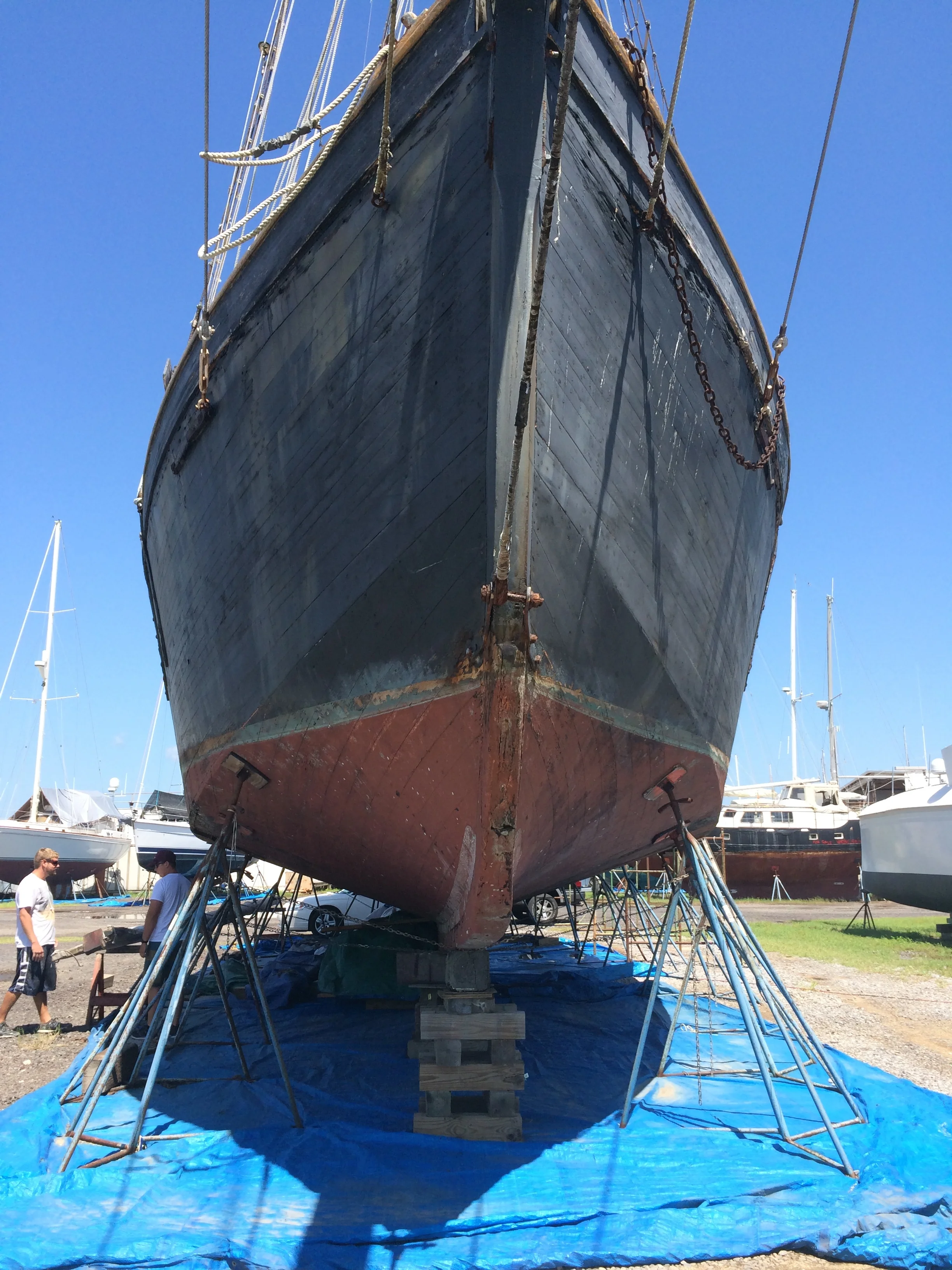 Schooner Pursuit