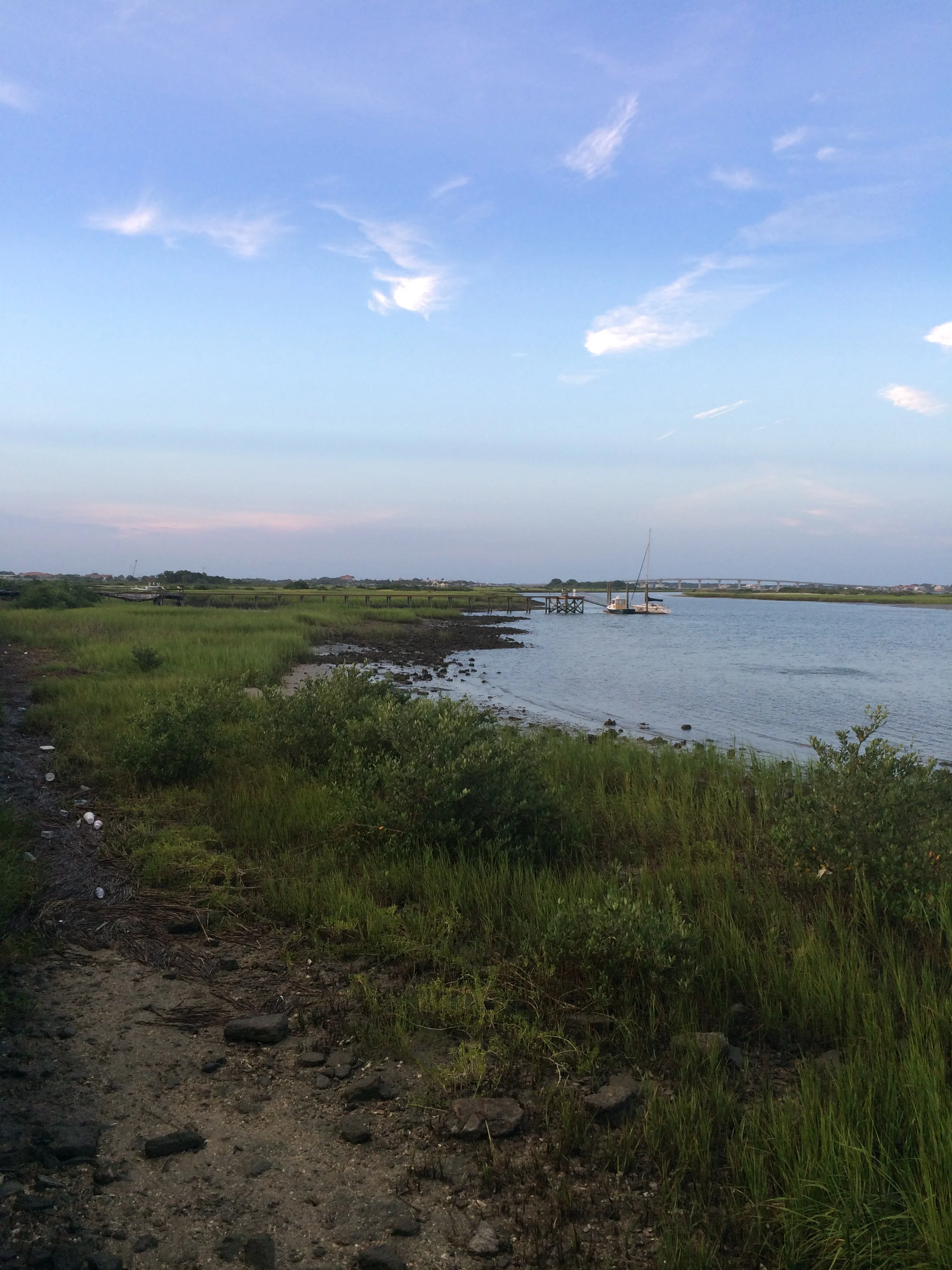 Watching Fiddler Crabs near the Fort