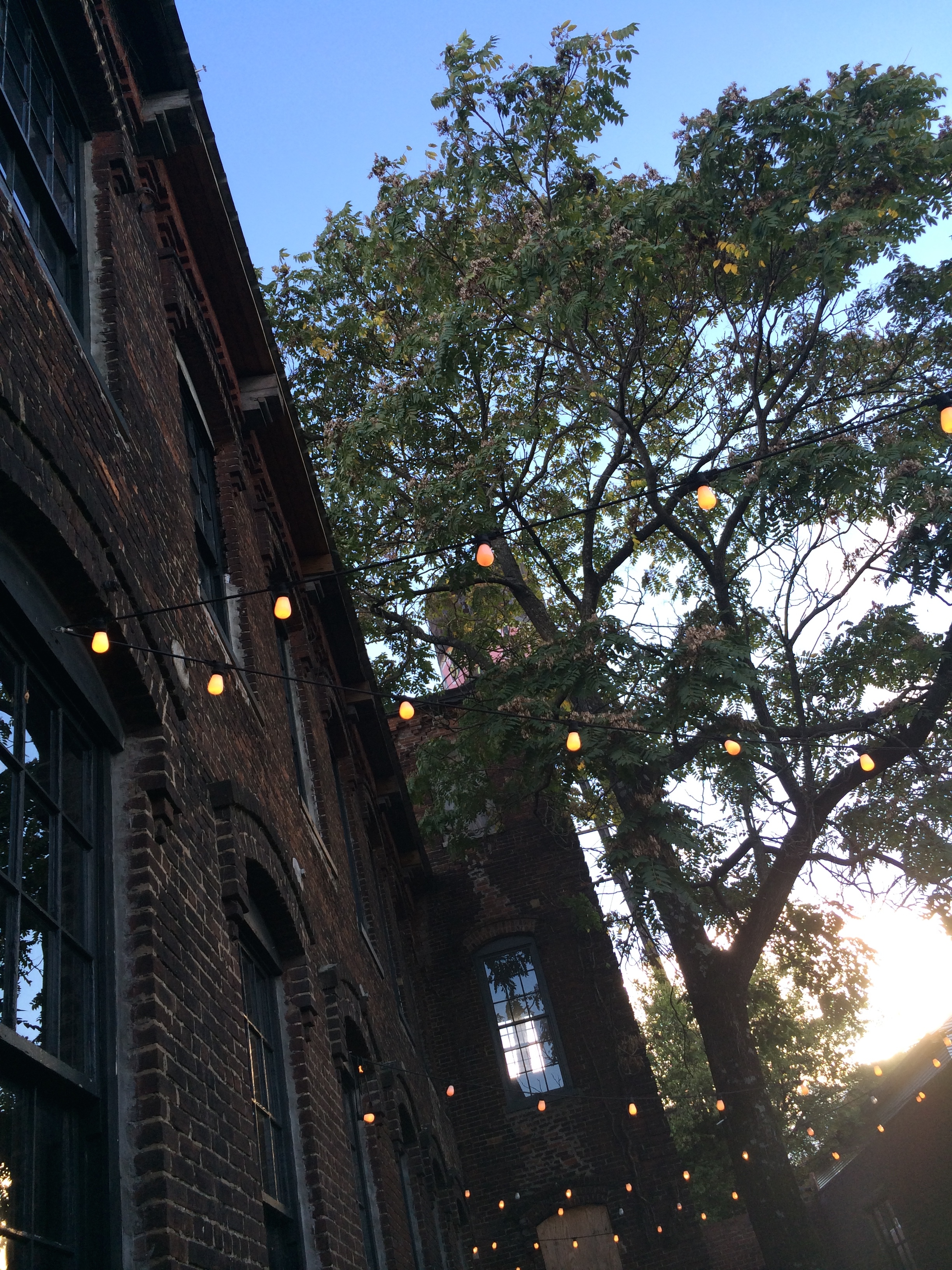 Lights and trees and smiles and laughs