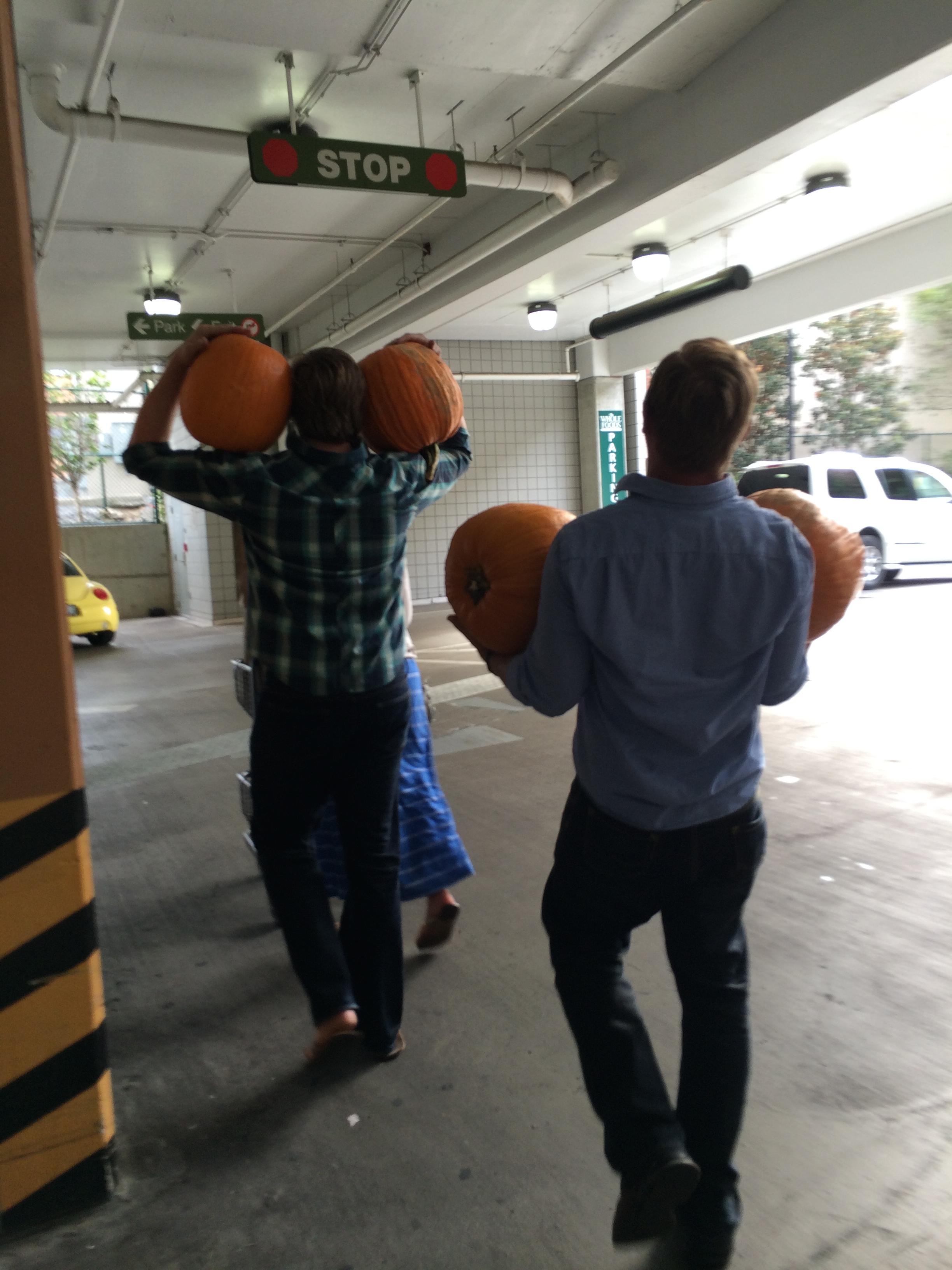 Pumpkin pumpkin pumpkin