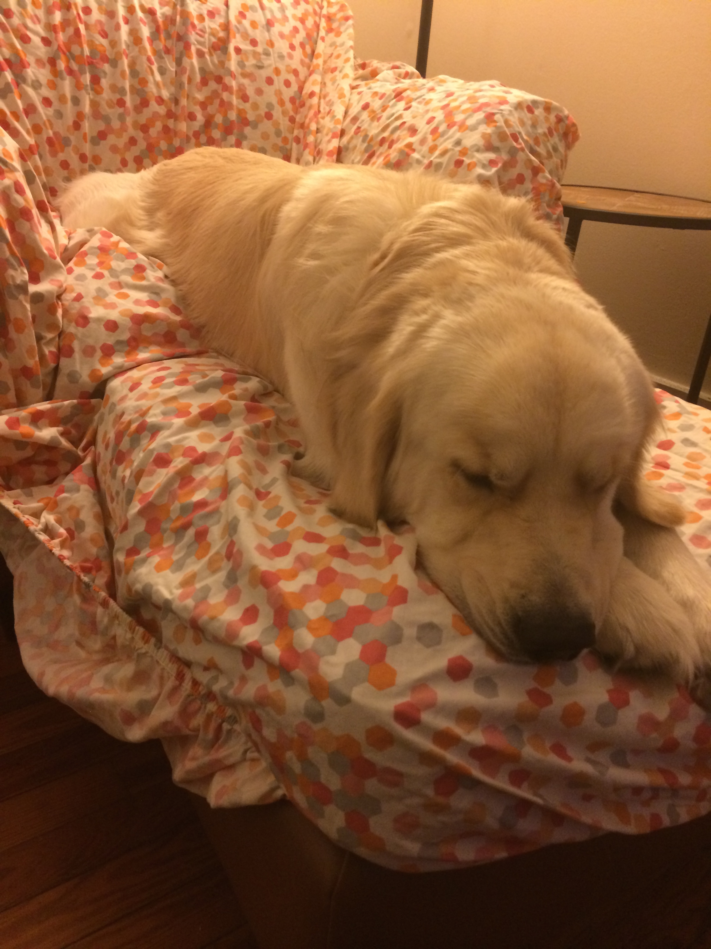 He's claimed the chair