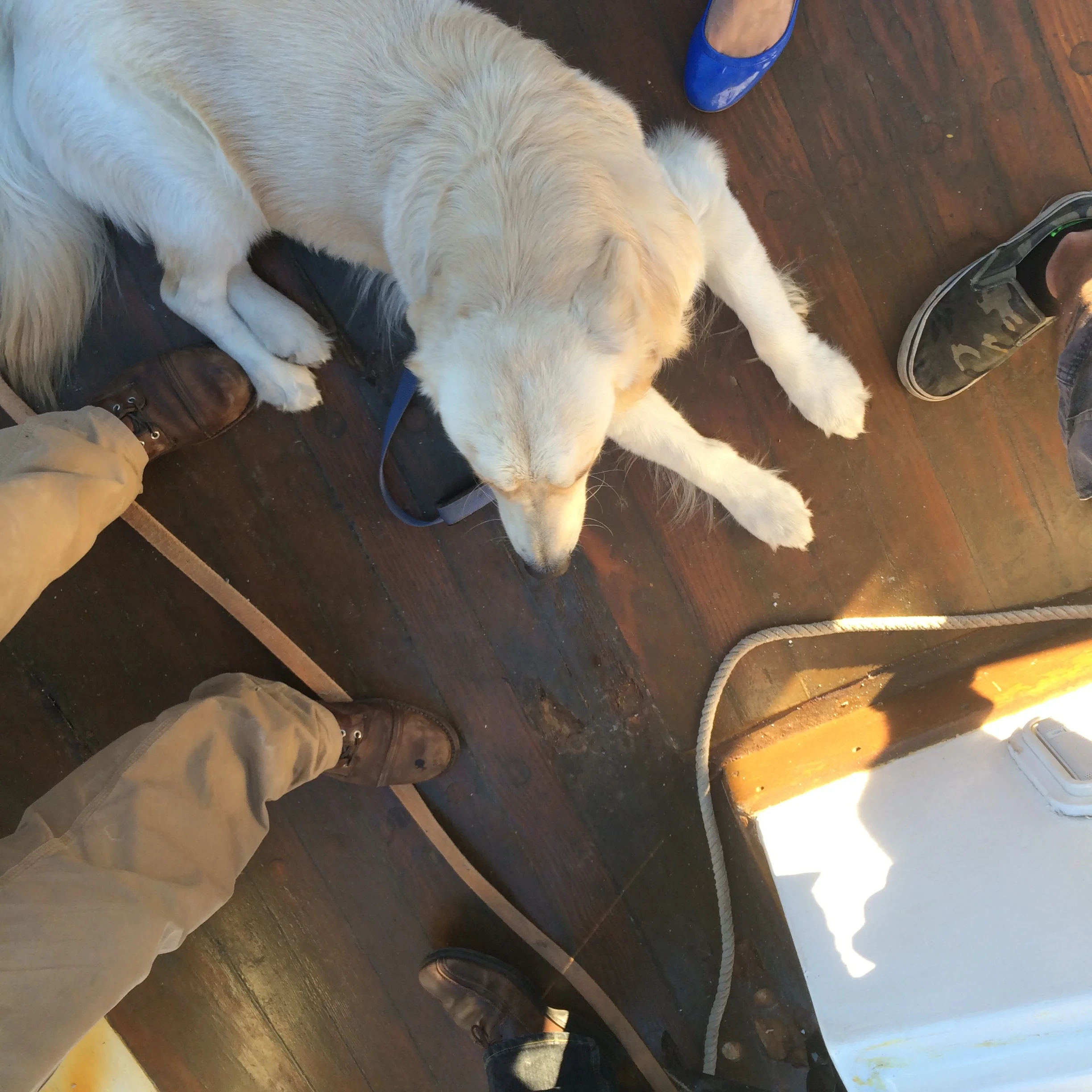 Archie on the Liberty Clipper