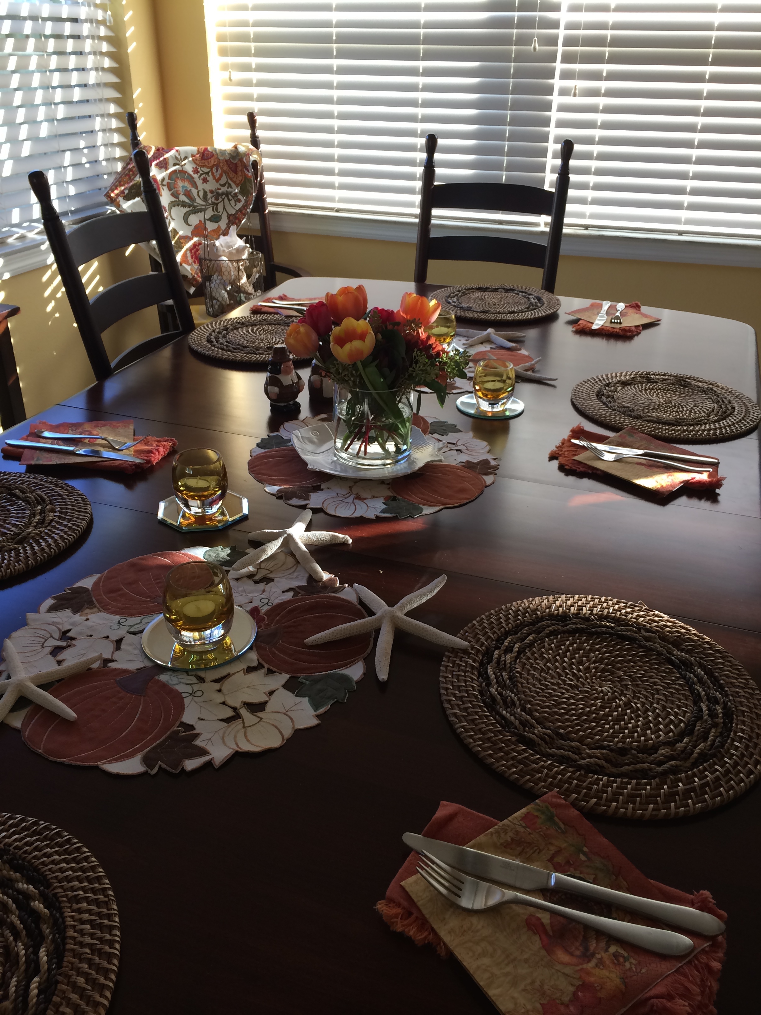 Starfish & pumpkins..a FL Thanksgiving