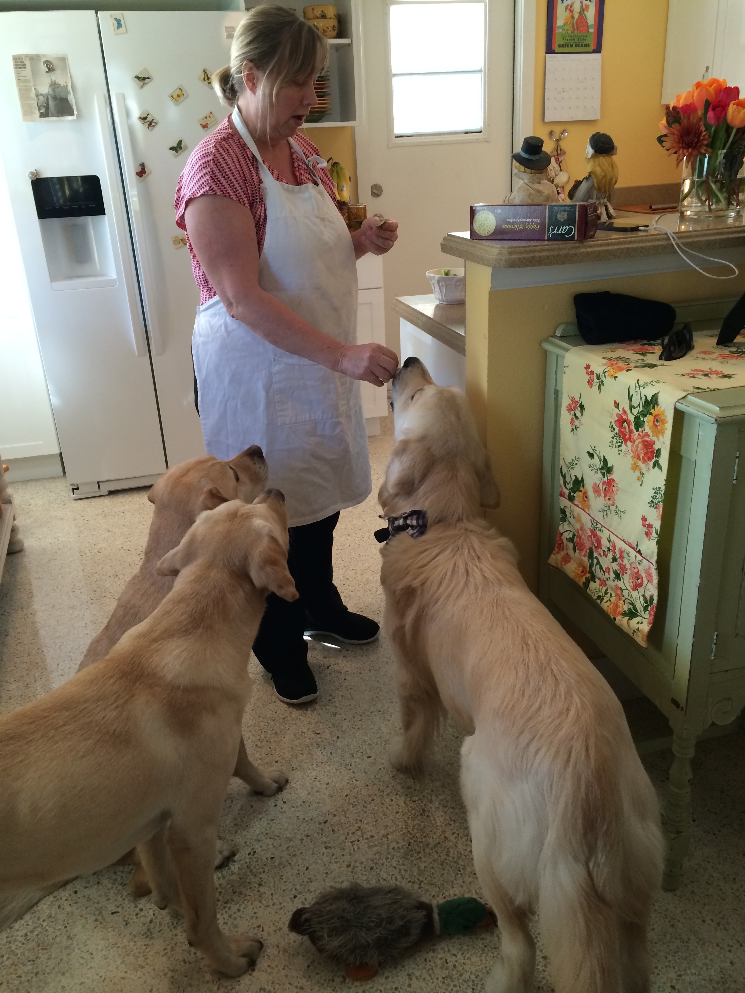 All the boys get apple snacks!