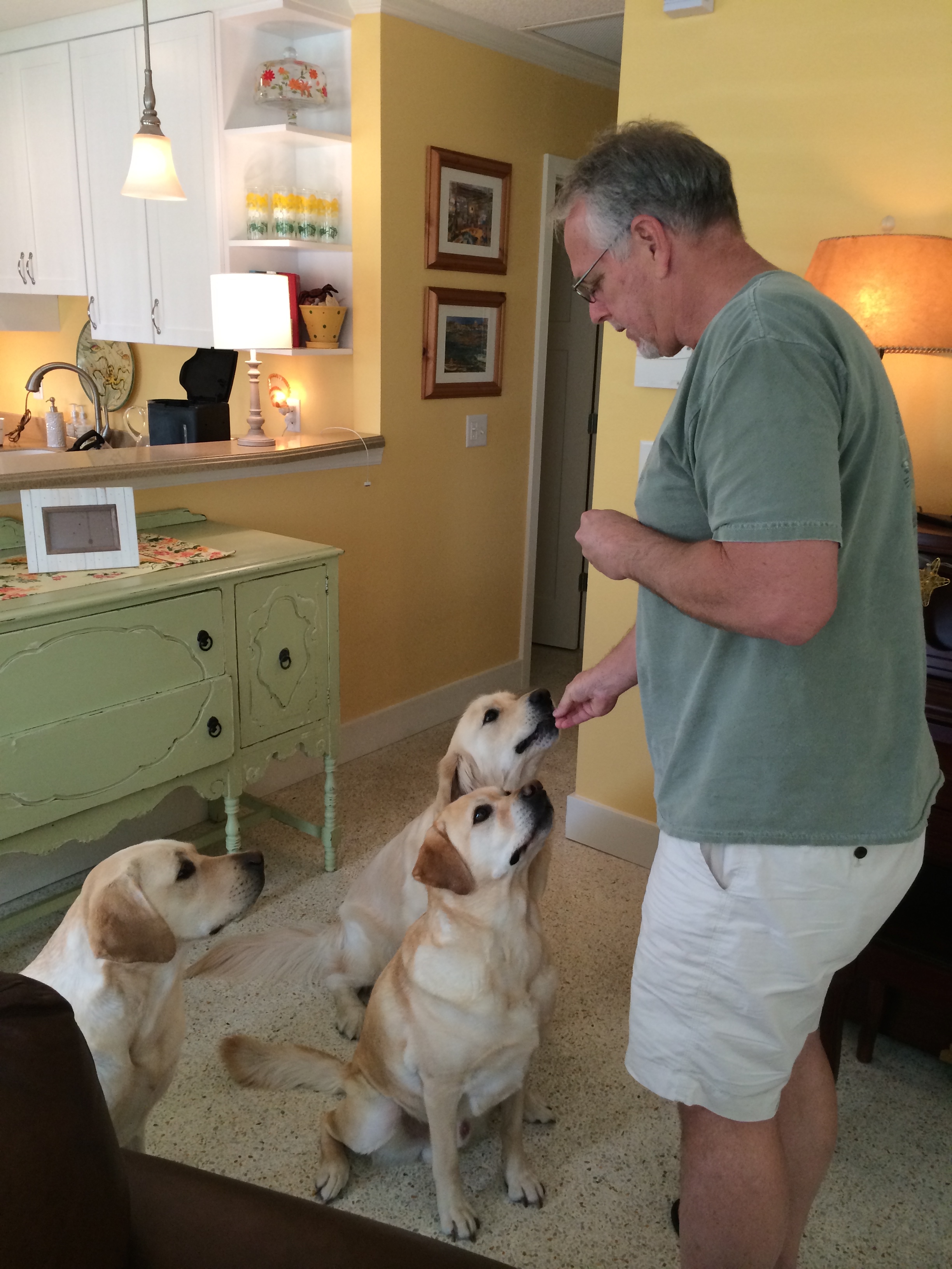 Everyone patiently awaits treats!