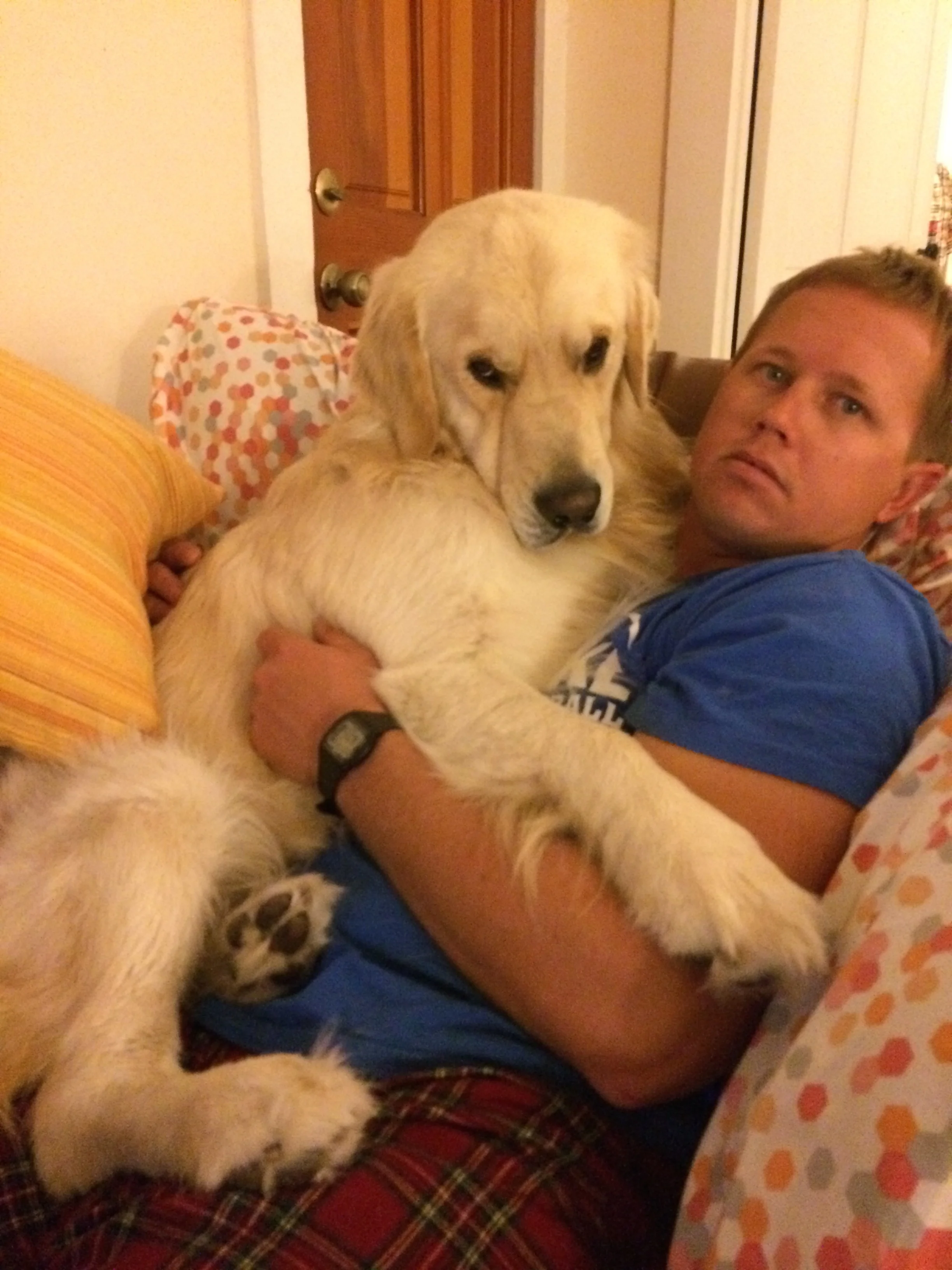 Interrupting the Bachelor (tv)