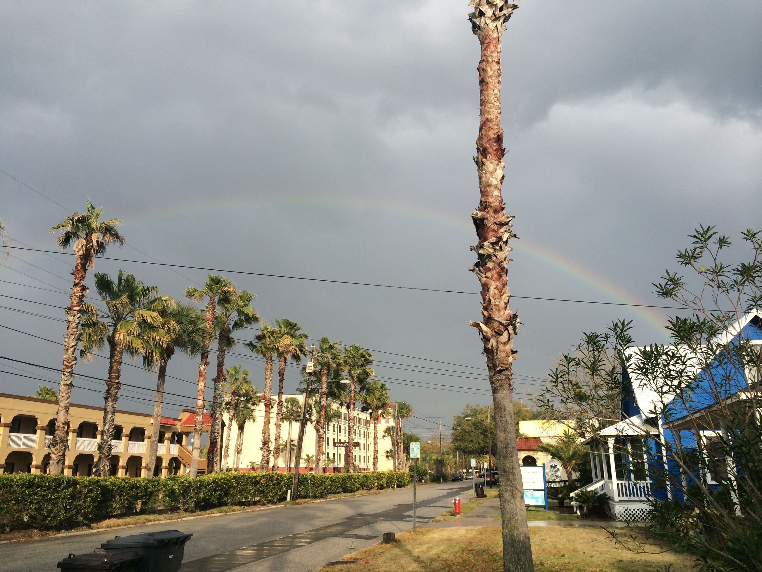 Springtime showers