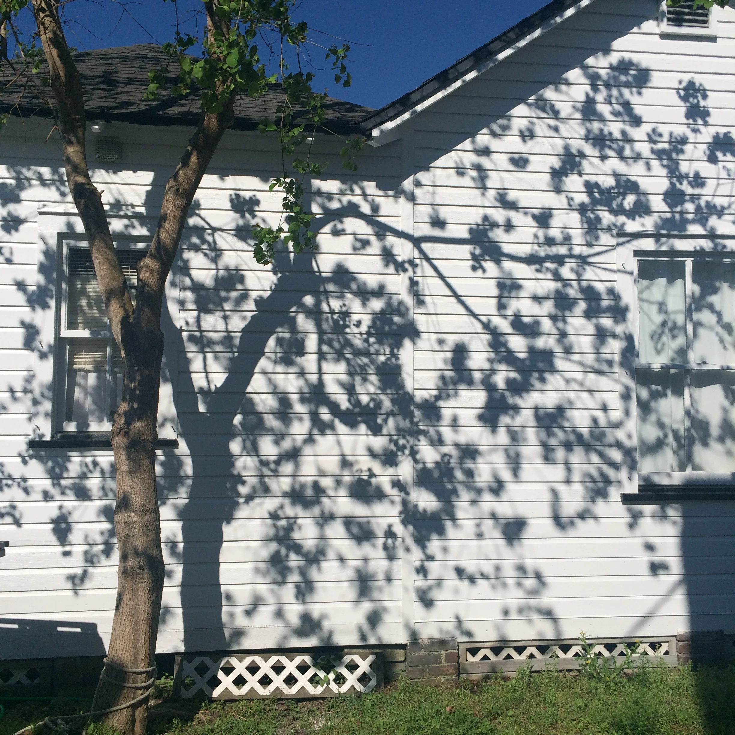 Springtime buds and the side of e house