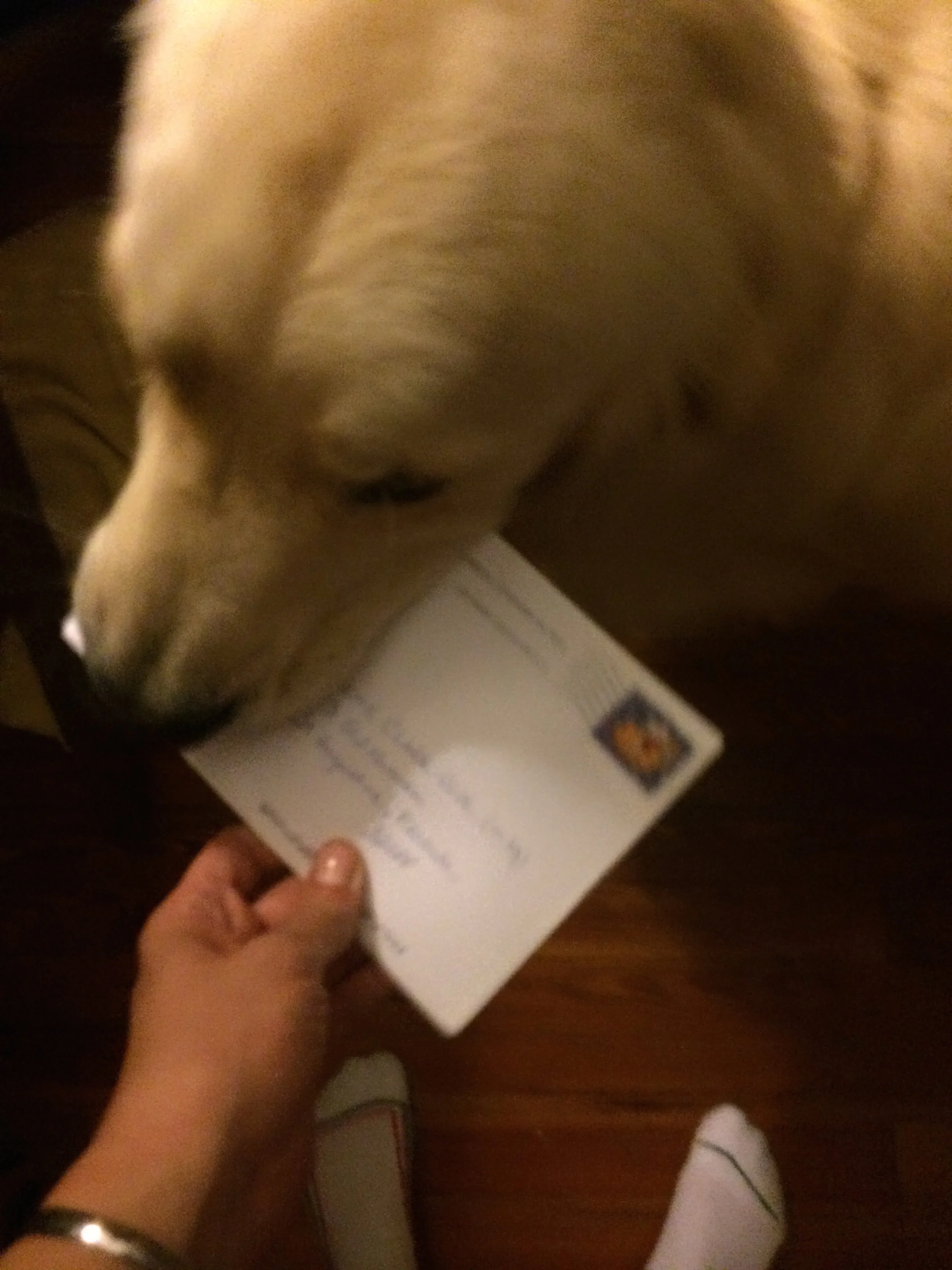 Everyone deserves some mail!