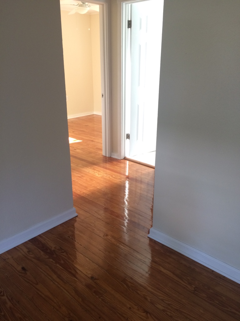 Added a few coats to seal the floor