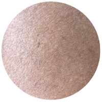 Brown.png