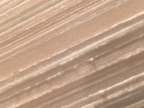   Untitled.  Acrylic on board, detail. 
