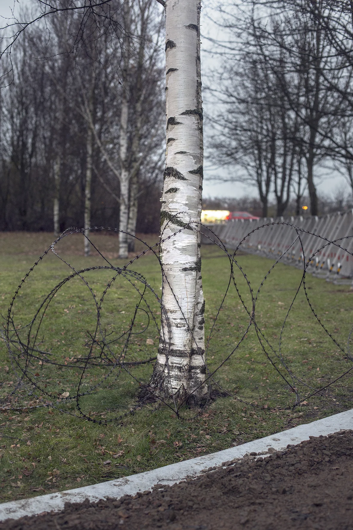 Sverige BOG00014.jpg